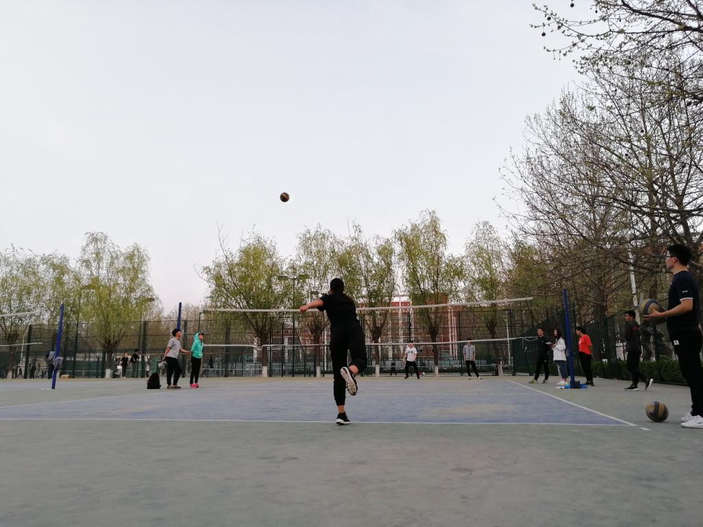排球发球 MACAO·yl6776永利