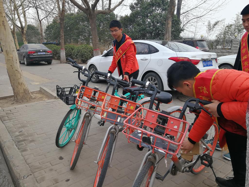 摆放共享单车 MACAO·yl6776永利