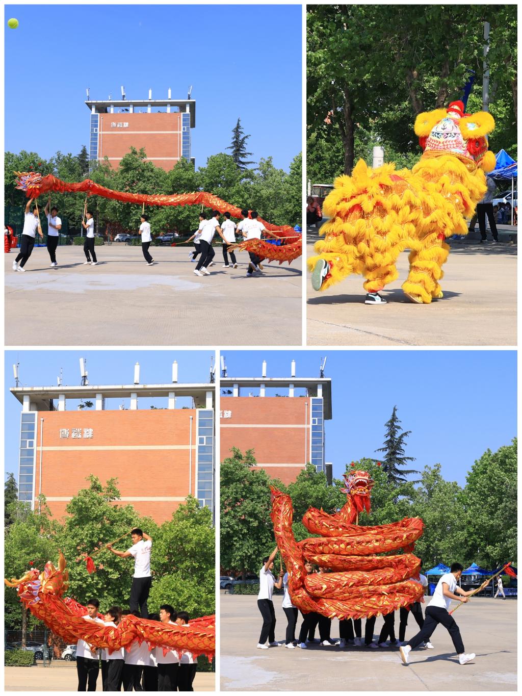 MACAO·yl6776永利